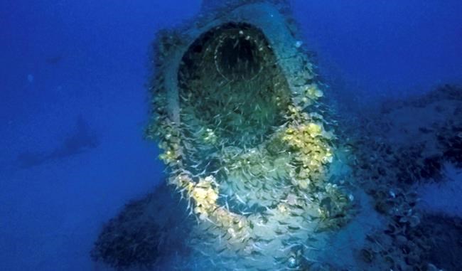 UK looks into Italian claims that WWII sub has been found | iNFOnews.ca