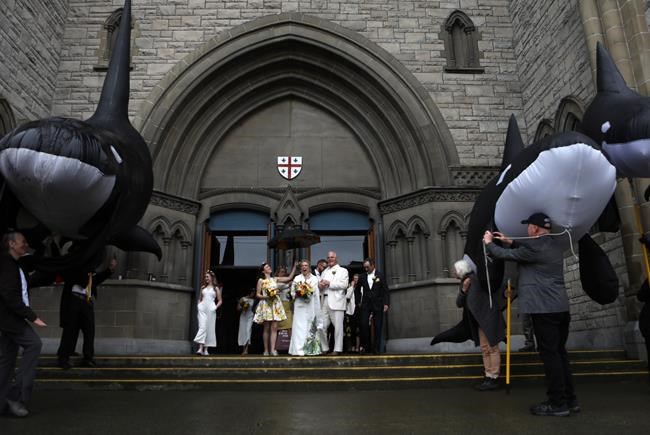 Elizabeth May's wedding dress a 'walk through a garden' on Earth Day | iNFOnews.ca