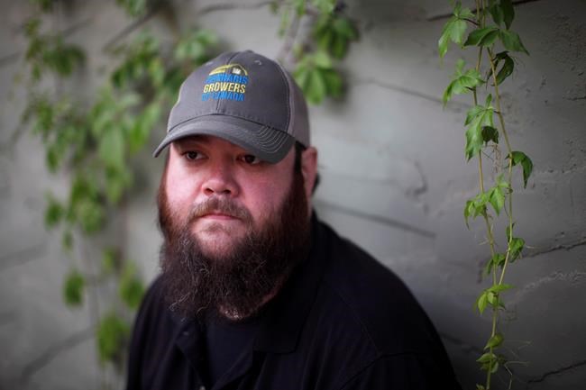 'Craft cannabis' growers fight for legal role, say B.C. jobs, tourism at stake | iNFOnews.ca