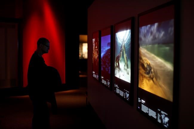 Five things to do at Royal B.C. Museum: all of British Columbia in one place | iNFOnews.ca CP1575612318