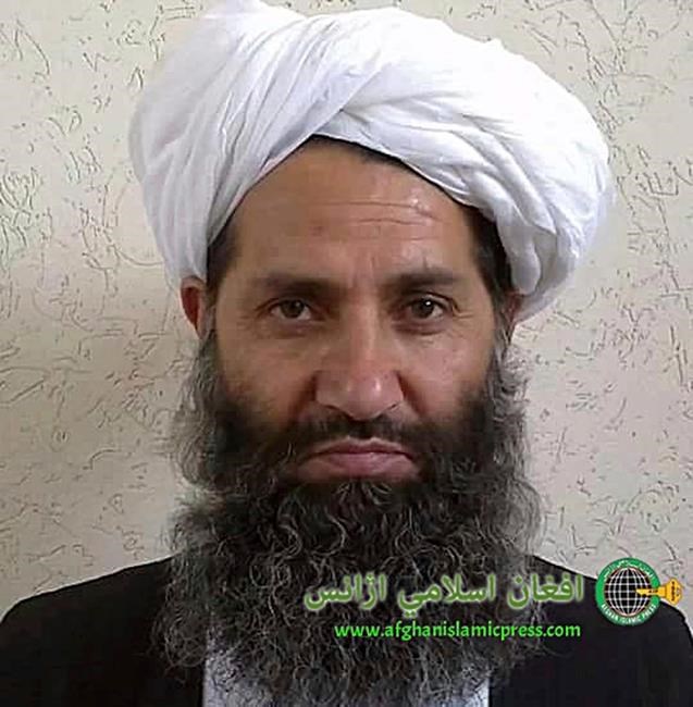 Taliban leader encourages people to plant trees | iNFOnews.ca Taliban leader encourages people to plant trees | iNFOnews.ca