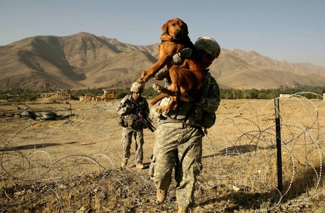 US, Russia share a complex and bloody history in Afghanistan | iNFOnews.ca