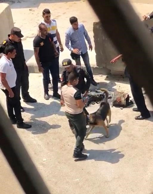 Egyptian arrested after backpack ignites near US Embassy | iNFOnews.ca Egyptian arrested after backpack ignites near US Embassy | iNFOnews.ca