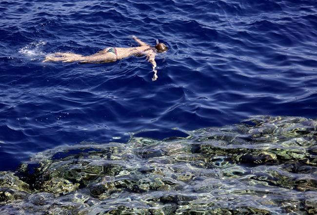 Egyptian official says province to ban single use plastics | iNFOnews.ca Egyptian official says province to ban single use plastics | iNFOnews.ca