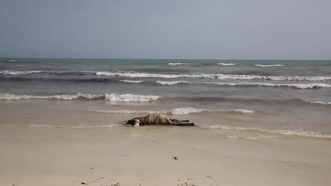 Rights group blasts EU plans on halting Libya migrant exodus | iNFOnews.ca Rights group blasts EU plans on halting Libya migrant exodus | iNFOnews.ca