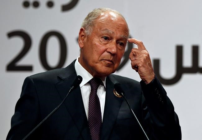 Report: Egypt's Aboul Gheit reappointed Arab League chief | iNFOnews.ca