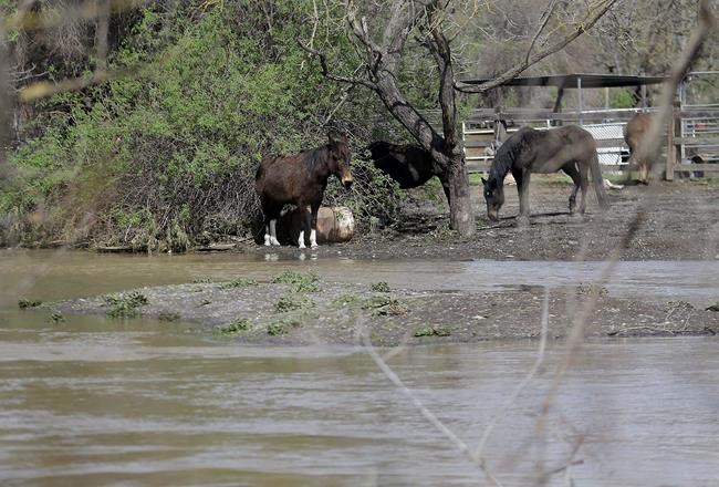 The Latest: Woman goes home to 'apocalypse' after flood | iNFOnews.ca