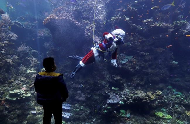 Scuba-diving Santa Claus delights children in San Francisco | iNFOnews.ca