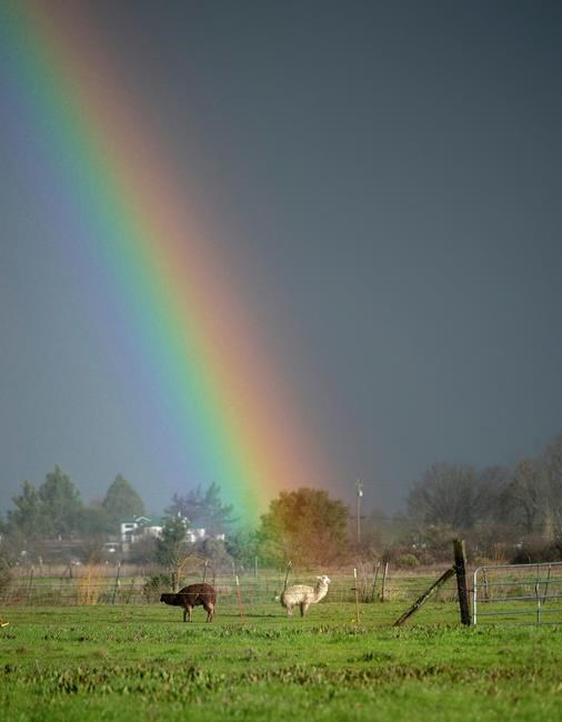 The Latest: Flood warning for California river cancelled | iNFOnews.ca