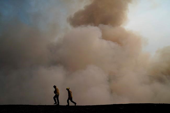 Utility: Winds too weak to cut power before California fire | iNFOnews.ca