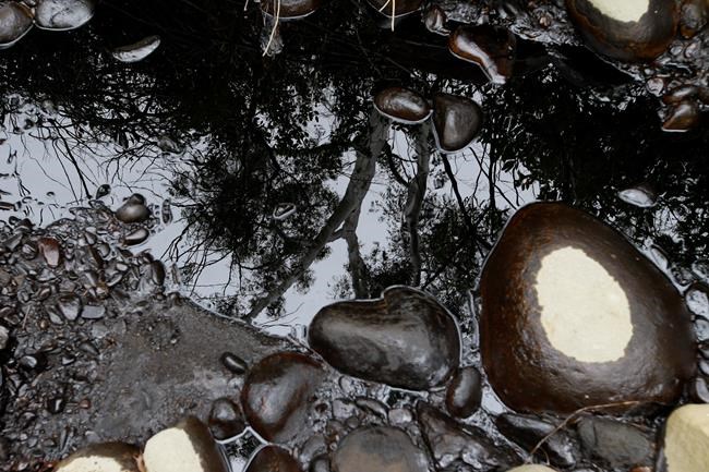 Pipeline spews crude in California but none reaches beach | iNFOnews.ca Pipeline spews crude in California but none reaches beach | iNFOnews.ca
