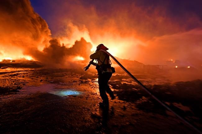 Study: Alien grasses are making more frequent US wildfires | iNFOnews.ca