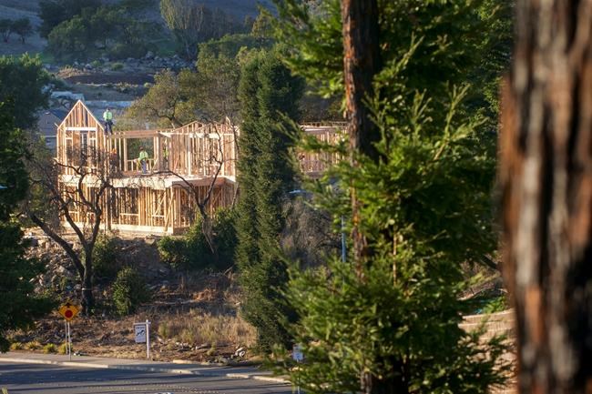 Rebirth, angst and the 'new normal' of California wildfires | iNFOnews.ca Rebirth, angst and the 'new normal' of California wildfires | iNFOnews.ca