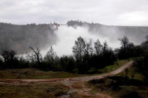CP215624073