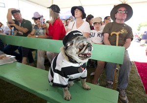 Beagle-boxer-basset combo waddles way to win in World's Ugliest Dog Contest | iNFOnews.ca CP23931487