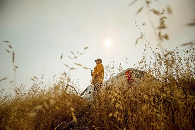 Governor declares state of emergency for California wildfire | iNFOnews.ca Governor declares state of emergency for California wildfire | iNFOnews.ca