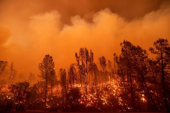 The Latest: California wildfire kills 1, burns firefighters | iNFOnews.ca