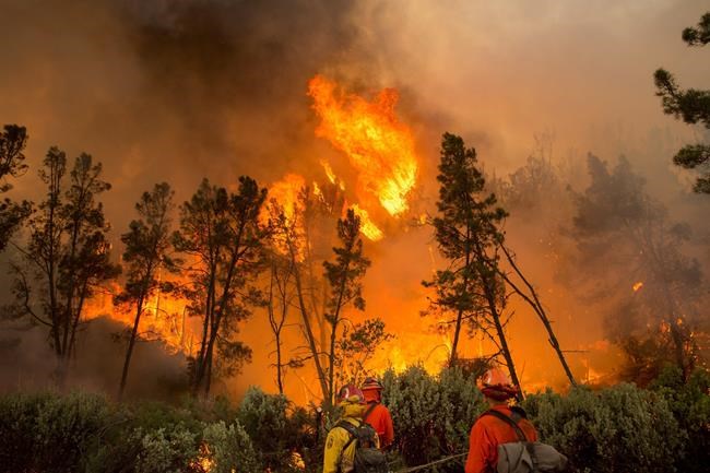 California wildfire destroys 8 homes, injures firefighter | iNFOnews.ca CP1142233924