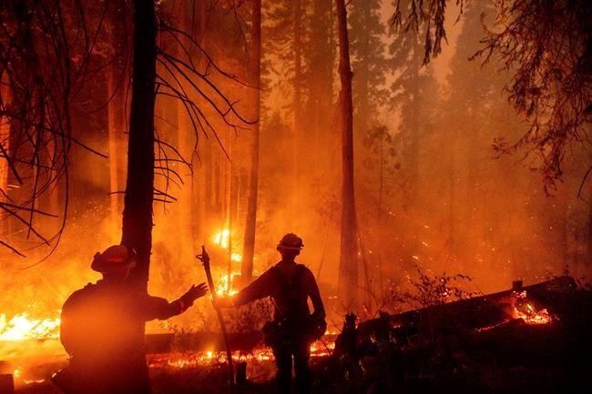 5 Things to Know for Today | iNFOnews.ca CP492064446