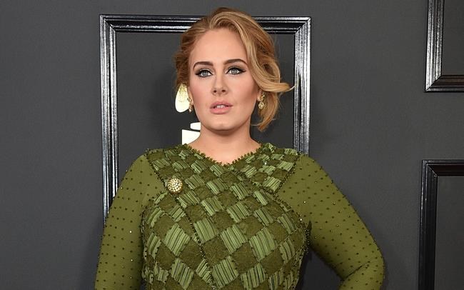 Joint custody of son, no spousal support in Adele divorce | iNFOnews.ca