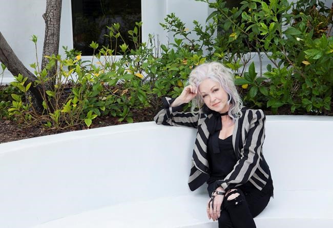 Cyndi Lauper unveils report on LGBTQ youth homelessness | iNFOnews.ca Cyndi Lauper unveils report on LGBTQ youth homelessness | iNFOnews.ca