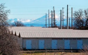 CP362293964