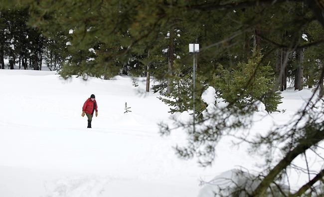 Drought-easing California snow heaviest in 22 years | iNFOnews.ca
