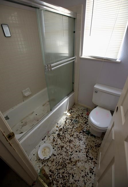 DA: Children in California home were strangled, waterboarded | iNFOnews.ca