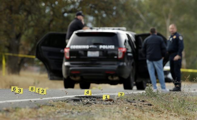 Police knew 'madman' had guns before killing rampage | iNFOnews.ca CP2027344183