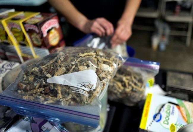 Denver is 1st US city to decriminalize 'magic mushrooms' | iNFOnews.ca
