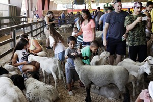 Petting zoos with goats, sheep become party central, giving children memories, drawing critics | iNFOnews.ca CP25175324