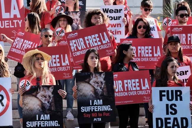 Los Angeles takes step toward banning sale of fur products | iNFOnews.ca