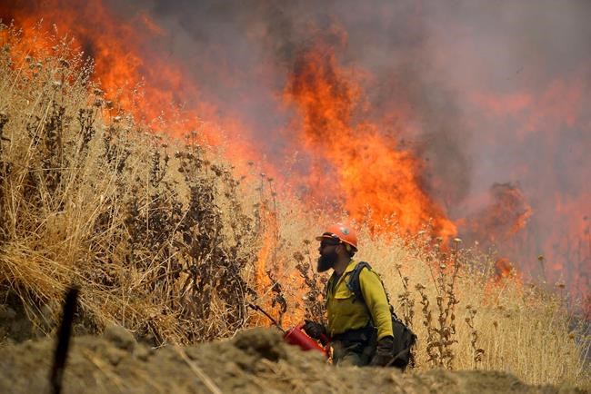 Growing fires in US West put damper on holiday festivities | iNFOnews.ca