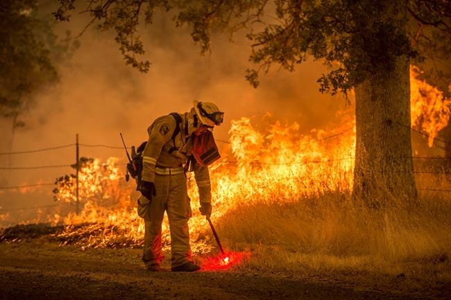 Clearing forests: No simple solution to California wildfires | iNFOnews.ca Clearing forests: No simple solution to California wildfires | iNFOnews.ca