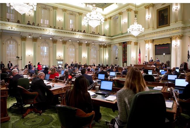 Democrat Mendoza to take leave during sex misconduct probe | iNFOnews.ca