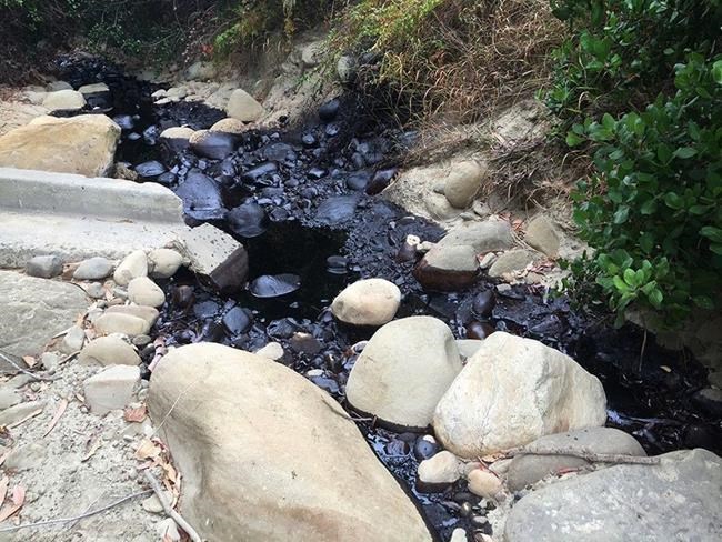 The Latest: California oil spilled near pipeline valve | iNFOnews.ca