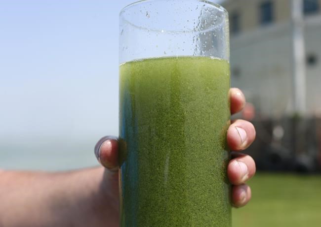 Scientists expect 'significant' algae bloom on Lake Erie | iNFOnews.ca