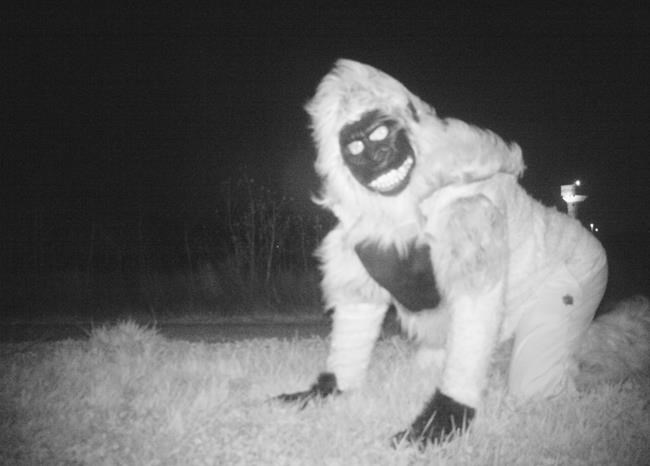 Wildlife cameras capture photos of jokers dressed as lions | iNFOnews.ca