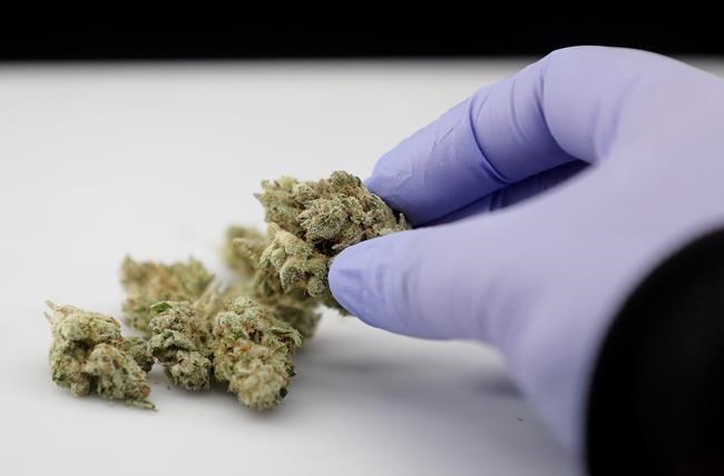 Oklahoma health department revised medical marijuana rules | iNFOnews.ca Oklahoma health department revised medical marijuana rules | iNFOnews.ca