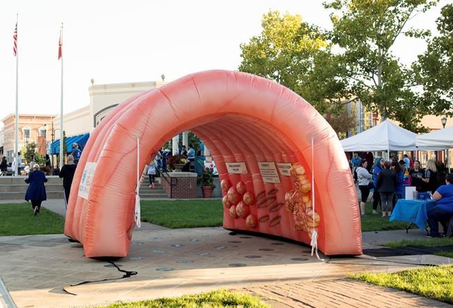 Relief: Police recover stolen inflatable colon | iNFOnews.ca