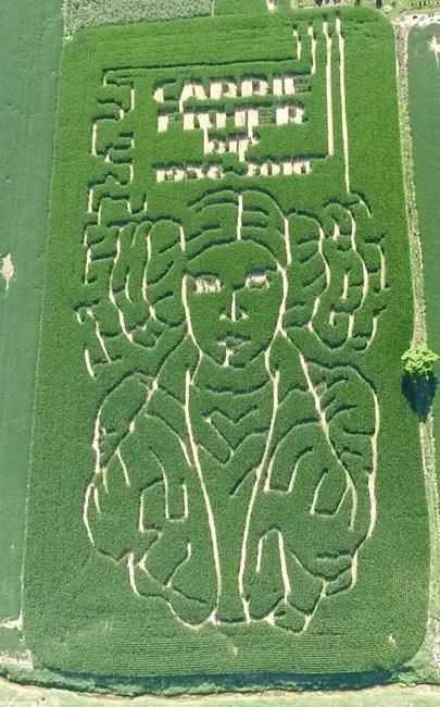 Indiana farmer plants corn maize tribute to Carrie Fisher | iNFOnews.ca