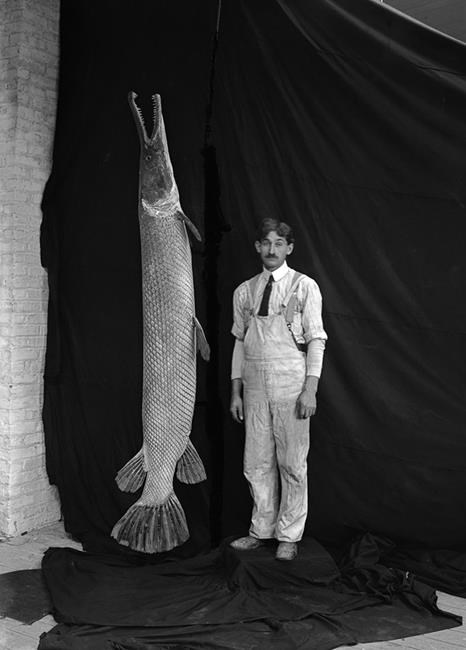 Huge, once-hated fish now seen as weapon against Asian carp | iNFOnews.ca Huge, once-hated fish now seen as weapon against Asian carp | iNFOnews.ca