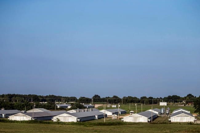 Investigation: Drug court rehabs survive on forced labour | iNFOnews.ca Investigation: Drug court rehabs survive on forced labour | iNFOnews.ca