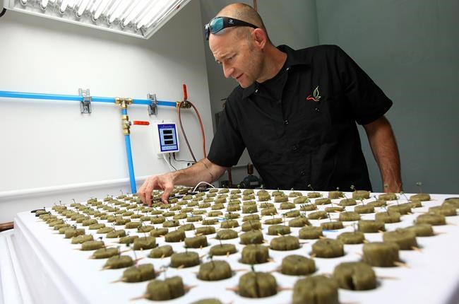 South Dakota charges 2 men trying to help launch pot resort | iNFOnews.ca CP818349048