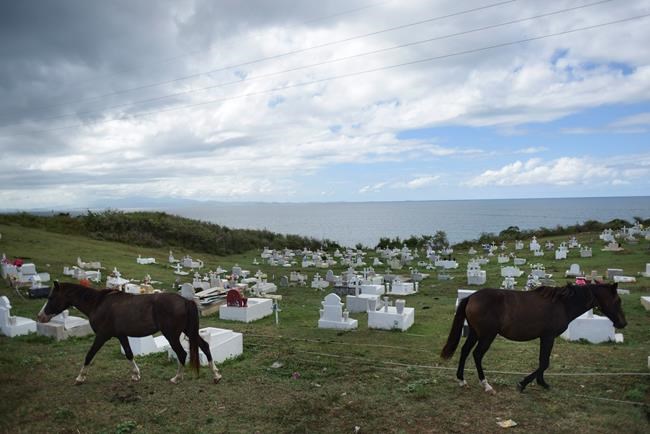 A year after Maria, Puerto Rican kidney patients fear death | iNFOnews.ca A year after Maria, Puerto Rican kidney patients fear death | iNFOnews.ca