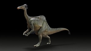 International team reunites missing remains of poached dinosaur bones | iNFOnews.ca CP30388880