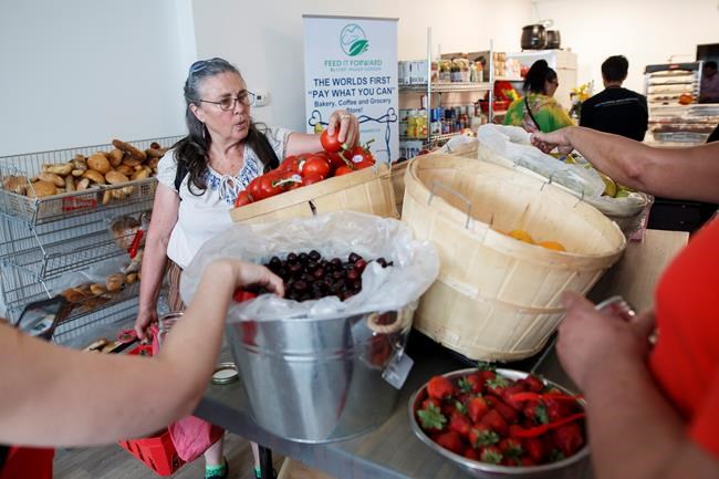 Pay-what-you-can grocery opens in Toronto, but experts say model can be hit-or-miss | iNFOnews.ca Pay-what-you-can grocery opens in Toronto, but experts say model can be hit-or-miss | iNFOnews.ca