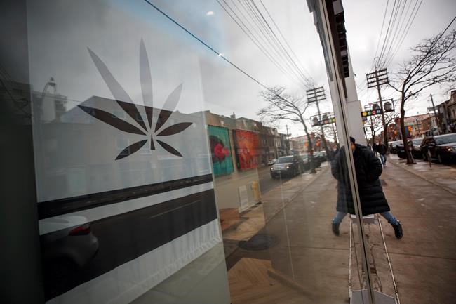 Edibles, vapes and other cannabis products on sale in Ontario but hard to find | iNFOnews.ca