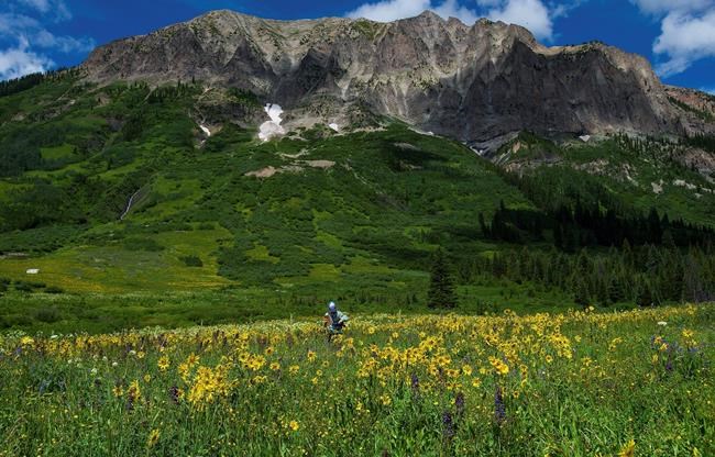 Allergies, glaciers, and pikas: climate change in action | iNFOnews.ca
