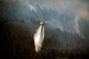CP1125270793